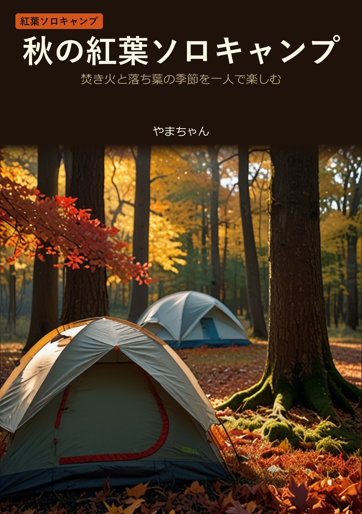 秋の紅葉ソロキャンプ